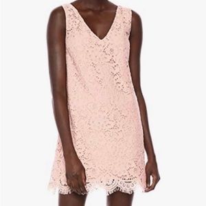 BB Dakota Lost in Lace Plunging V Sleeveless Mini Shift Dress